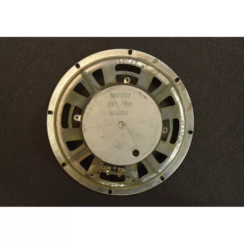 10" Speaker - 16 OHMS, '71