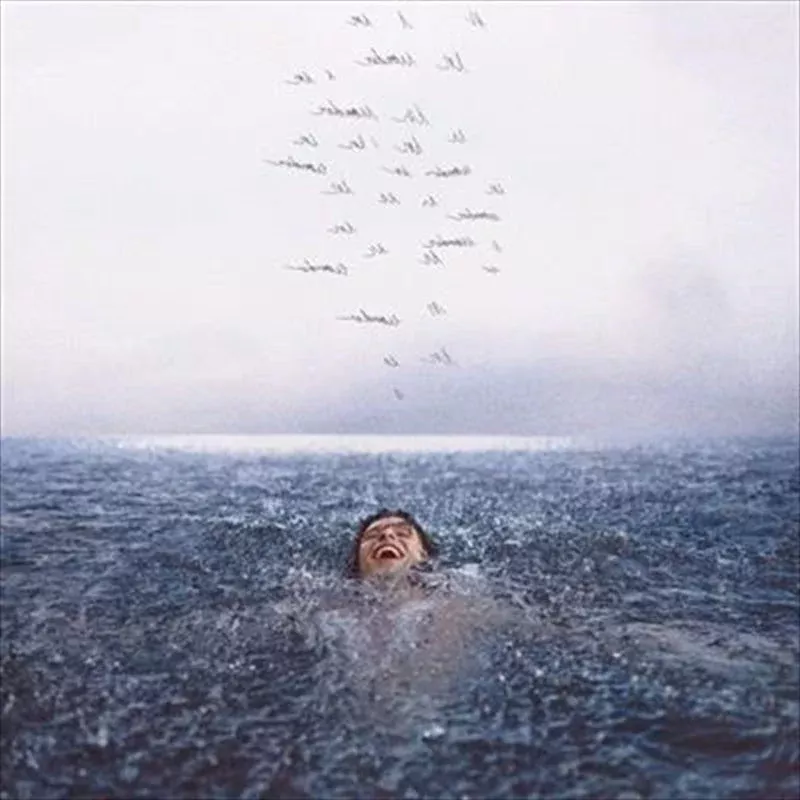 Shawn Mendes - Wonder CD
